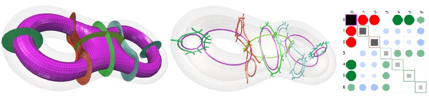 Base-Complex Visualization Evaluation